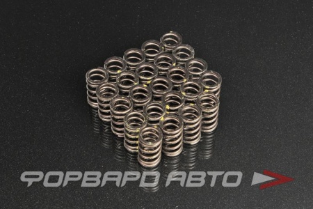 Купить Пружины клапанов 2JZ-GE / GTE BRIAN CROWER BC1300