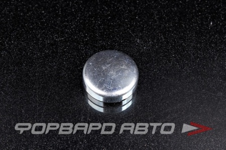 Купить Заглушка блока двигателя WPw-28мм  