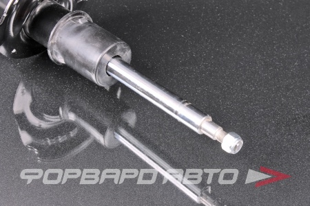 Купить Амортизатор передний, правый MILES DG21840-01