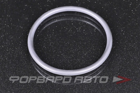 Купить Кольцо уплотнительное маслостойкое VAG 06B 121 119 B