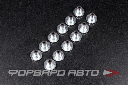 Купить Маслосъемные колпачки, комплект VICTOR REINZ 12-38226-01