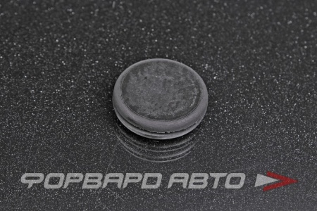 Купить Заглушка кузова 25,4мм <> 