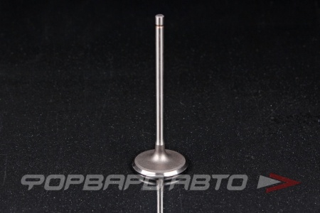 Купить Клапан впускной N-ROCKY TA-141-0