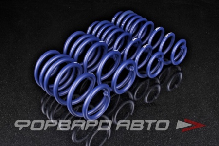 Купить Пружины подвески для Audi RS6 (4G) Avant/SW серия Performance Lowering Springs -20 мм H&R 28828-1