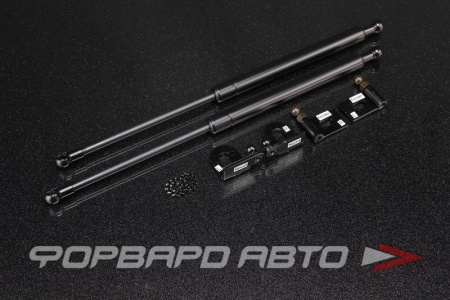 Купить Амортизаторы капота MITSUBISHI Evolution 10 AUTOBAHN88 