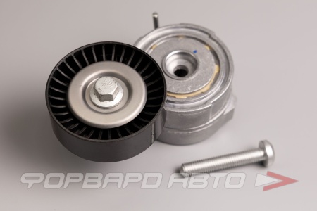 Купить Натяжитель приводного ремня CARBERRY 55CA300