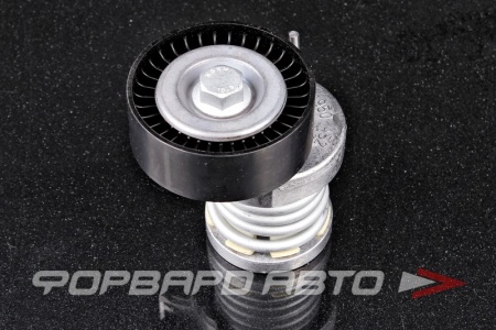 Купить Натяжитель приводного ремня (Audi, Seat, Skoda, VW) INA 534 0123 20