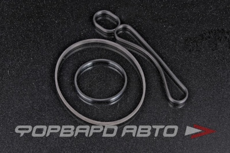 Купить Комплект уплотнений для масляного радиатора VAG 07Z 198 389