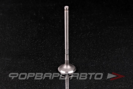 Купить Клапан выпускной N-ROCKY TB-125-0