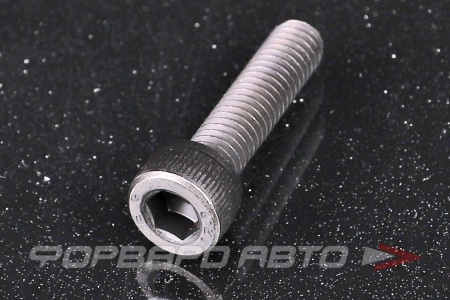 Купить Винт цилиндр. с внутренним шестигранником М6*25 DIN912 высокопр. пр.12,9  