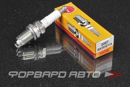 Купить Свеча зажигания NGK 2087
