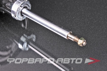 Купить Амортизатор передний, левый MILES DG11050-01