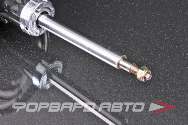 Амортизатор передний, левый MILES DG11050-01