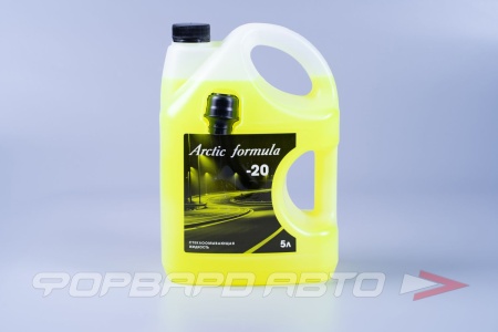 Купить Жидкость стеклоомывателя -20гр, 5л (лейка в к-те) ARCTIC FORMULA 715470