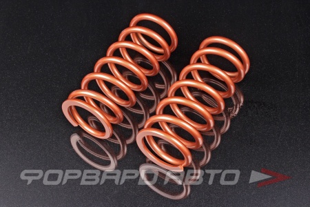 Купить Пружины для койловеров 5 кг, длина 203 мм, ID65мм, универсальные SWIFT Z65-203-050