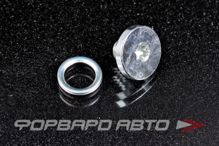 Купить Пробка сливная 10*1,5 масляного поддона FA1 257.870.011