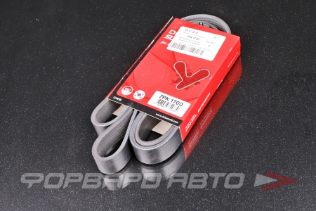 Купить Ремень поликлиновой DONGIL 7PK1700