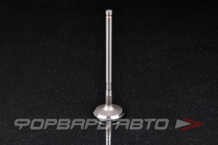 Купить Клапан выпускной N-ROCKY TB-113-0