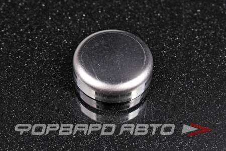 Купить Заглушка блока двигателя D20 NISSAN 01648-00171
