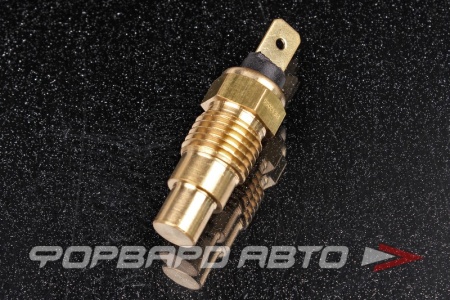 Купить Датчик температуры охлаждающей жидкости PATRON PE13055