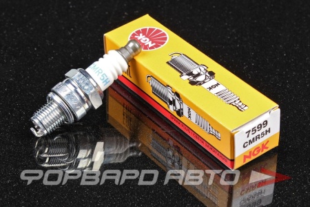 Купить Свеча зажигания NGK 7599