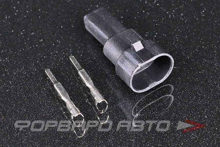 Купить Разъем 2-х контактный датчика температуры охлаждающей жидкости (без провода) CARGEN AX8432S