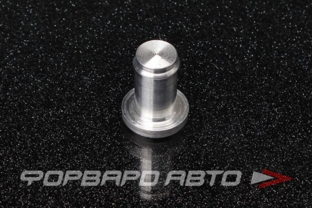 Купить Заглушка алюминиевая 10 мм AUTOBAHN88  Купить Заглушка алюминиевая 10 мм AUTOBAHN88