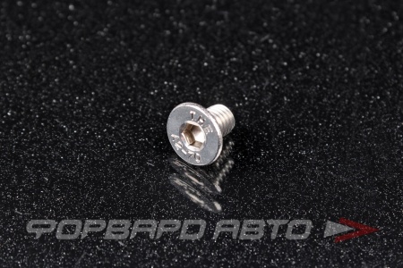 Купить Винт потайн. гол. внутр. шестигр. М 6х10 DIN 7991 нерж. А2  DIN 7991