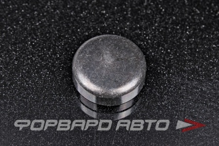 Купить Заглушка головки блока цилиндра D25 HYUNDAI / KIA 15732-25003