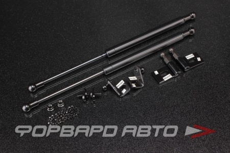 Купить Амортизаторы капота MITSUBISHI Colt Plus Ralliart Version R Z27A AUTOBAHN88 