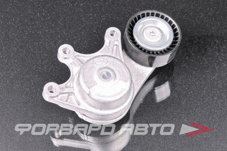 Купить Натяжитель приводного ремня GATES T39191