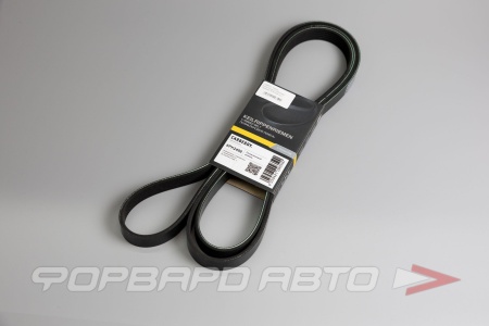 Купить Ремень поликлиновой CARBERRY 6PK2498