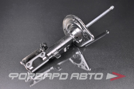 Купить Амортизатор задний, левый MILES DG11069