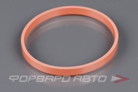 Купить Прокладка корпуса дроссельной заслонки GENERAL MOTORS 55564973