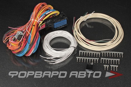 Купить Универсальные жгуты для ЭБУ Infinity AEM 30-3706