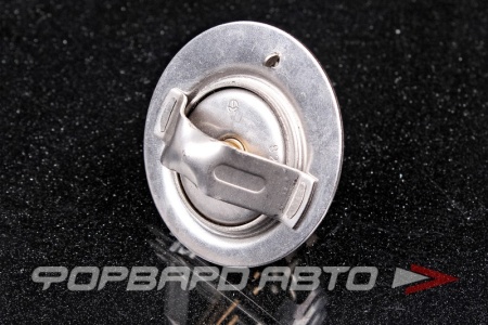 Купить Термостат TAMA WV52-82