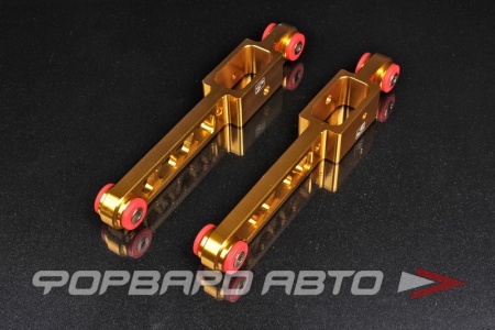 Купить Рычаги задние нижние для Honda Integra DC2, алюминиевые EPMAN TK-BB05EGN