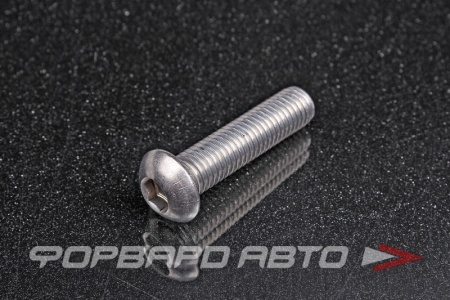 Купить Винт полукруглый под внутренний шестигранник М12*1,75*50 <> (iSO 7380-1)A2