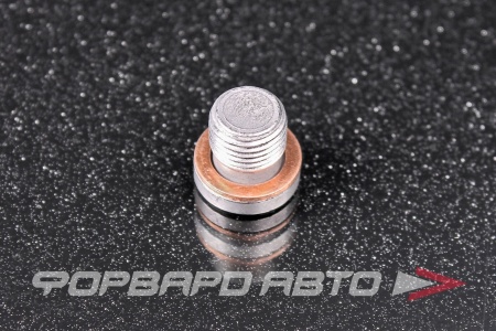 Купить Пробка сливная 10*1,0 раздаточной коробки VAG N90 281 802