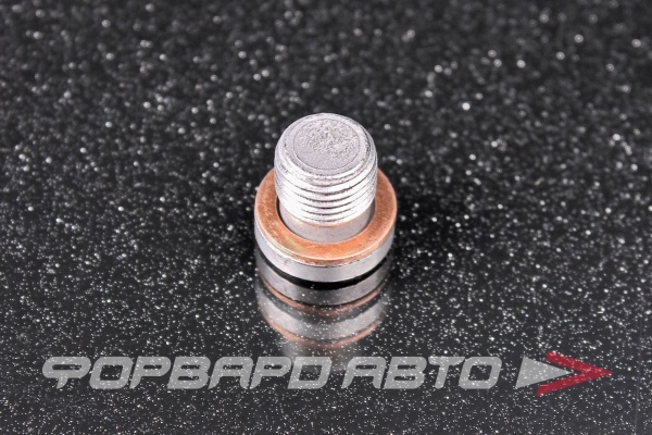 Пробка сливная 10*1,0 раздаточной коробки VAG N90 281 802