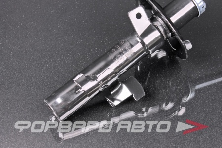 Купить Амортизатор передний, левый MILES DG11056-01