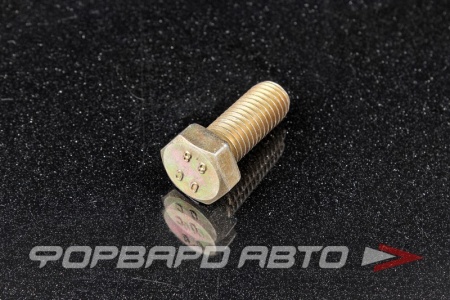 Купить Болт М12*1,75*30 оцинк. <> 500K-M12-30