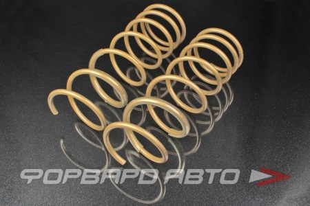 Купить Пружины передние ВАЗ 2110-12 Gold Progressive (переменный шаг) SS20 SS30125