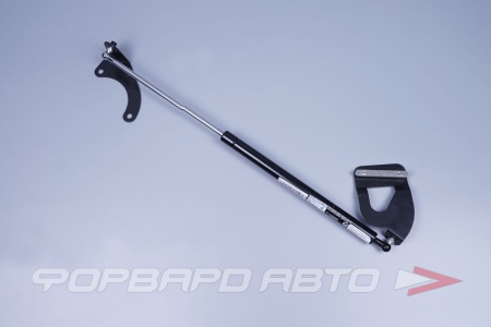 Купить Амортизатор капота для автомобиля ВАЗ 1118-2190, 1шт. усиленный (с кркпежом) Тольятти T0000081128