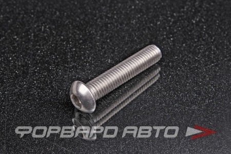 Купить Винт полукруглый под внутренний шестигранник М10*50 <> (iSO 7380-1)A2