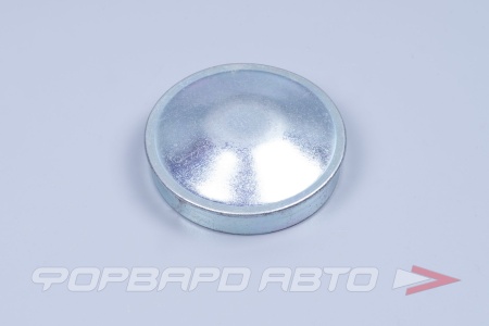 Купить Колпачок ступицы ВАЗ 2180, LARGUS, Xray завод (1шт) (железн.) ПЛАСТИК 8450008616