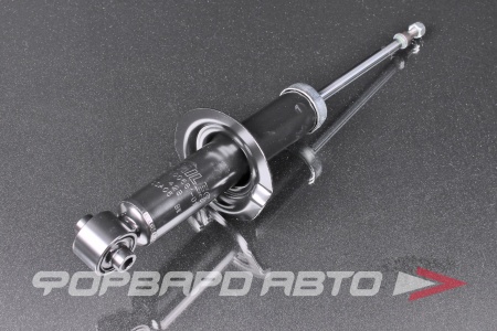 Купить Амортизатор задний MILES DG00681-01