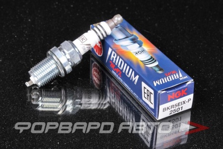 Купить Свеча зажигания NGK 2501