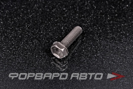 Купить Болт М6*1,0*21 крепления поддона АКПП VAG WHT000307