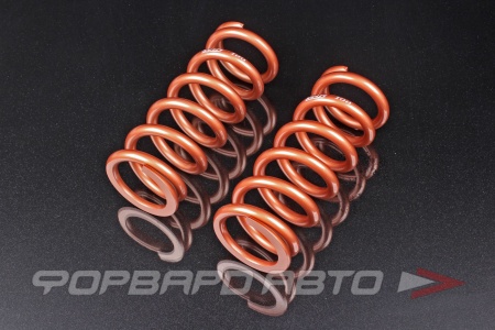 Купить Пружины для койловеров 10 кг, длина 228мм, ID65мм, универсальные SWIFT Z65-228-100